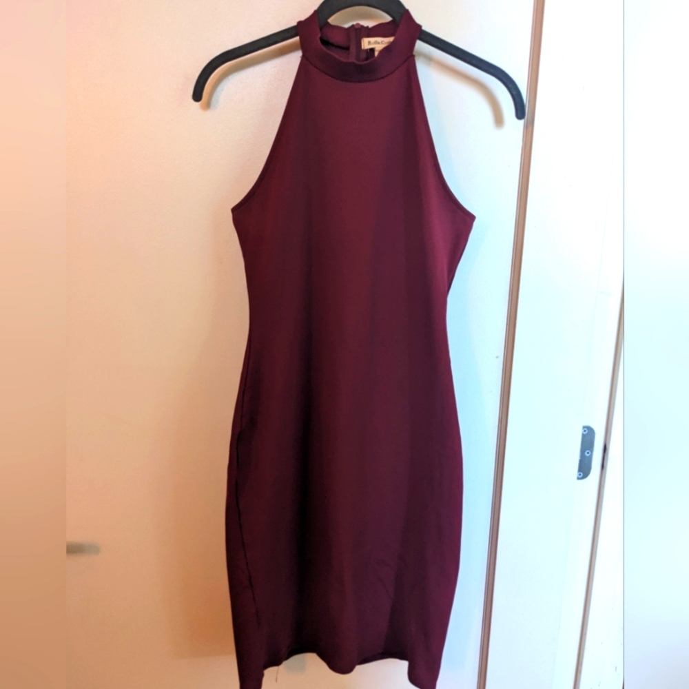 Raspberry Bodycon Dress